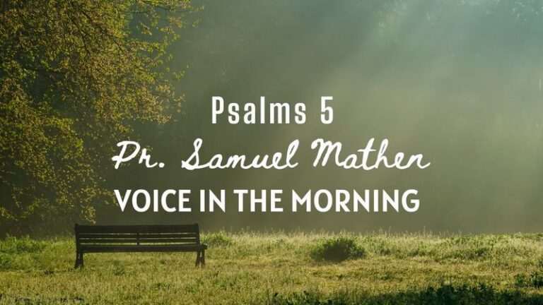 Sermon 2021 08 01